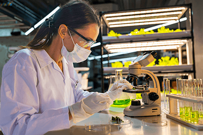 Lab